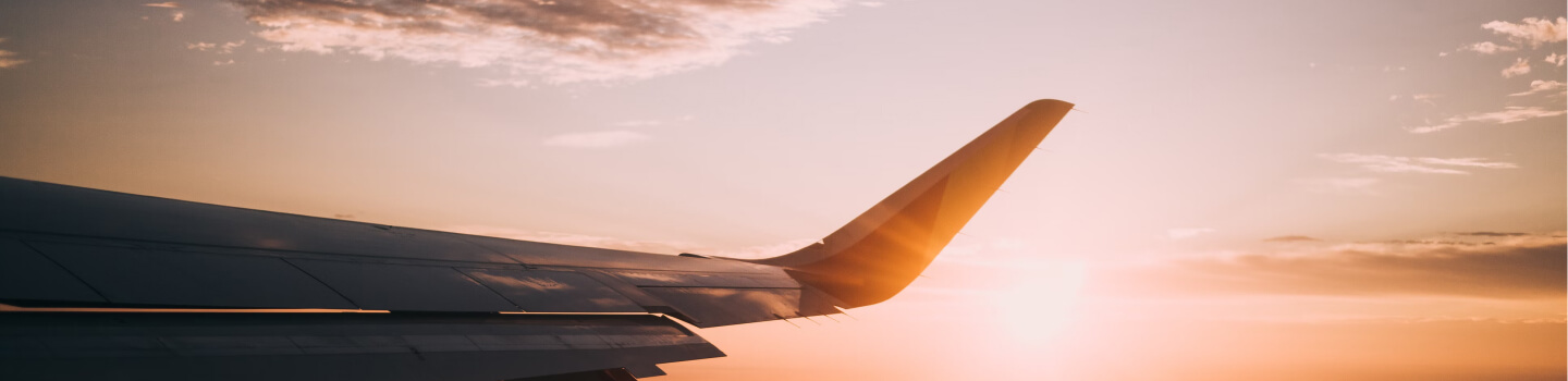 Flygplansvinge